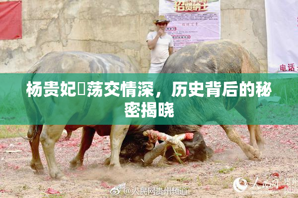 杨贵妃婬荡交情深，历史背后的秘密揭晓