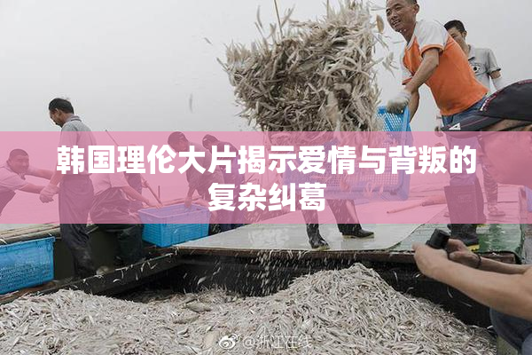 韩国理伦大片揭示爱情与背叛的复杂纠葛