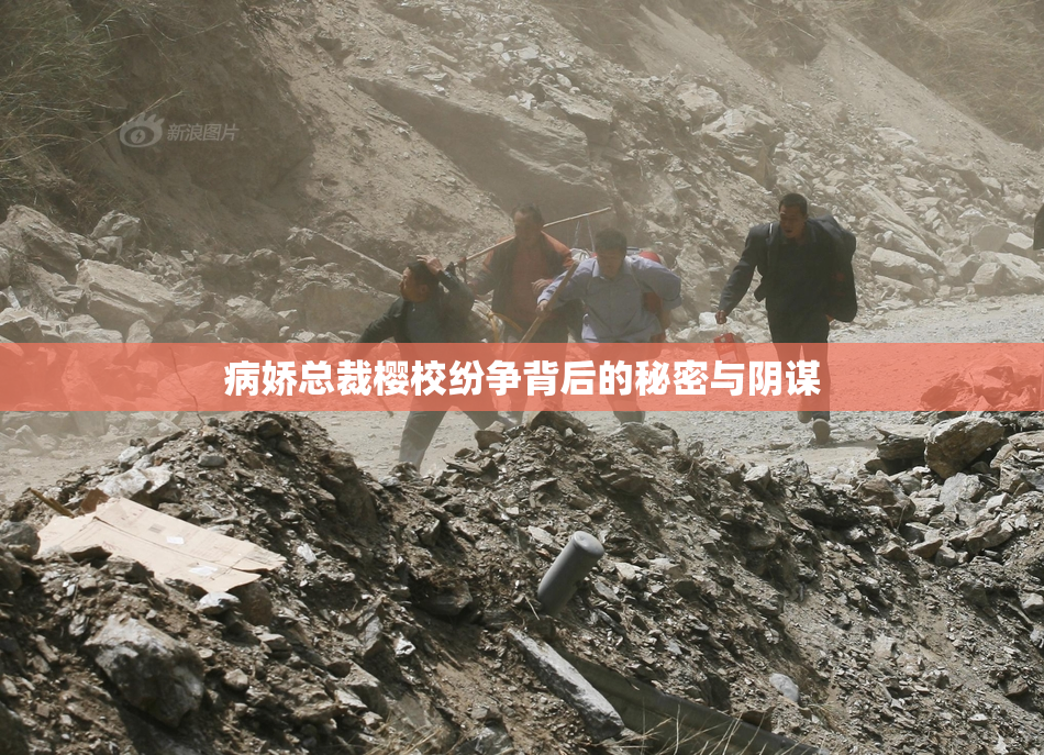 病娇总裁樱校纷争背后的秘密与阴谋