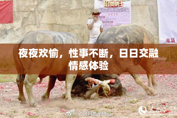 夜夜欢愉，性事不断，日日交融情感体验