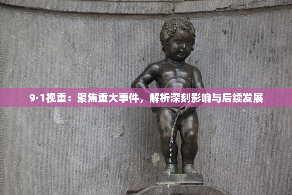 9·1视重：聚焦重大事件，解析深刻影响与后续发展