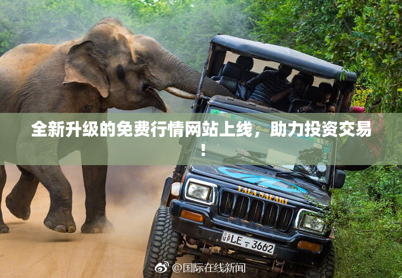 全新升级的免费行情网站上线，助力投资交易！