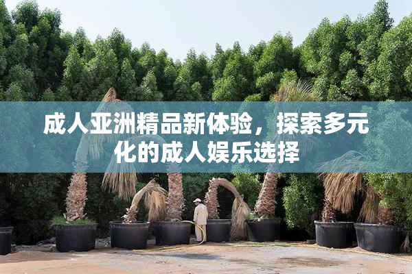 成人亚洲精品新体验，探索多元化的成人娱乐选择