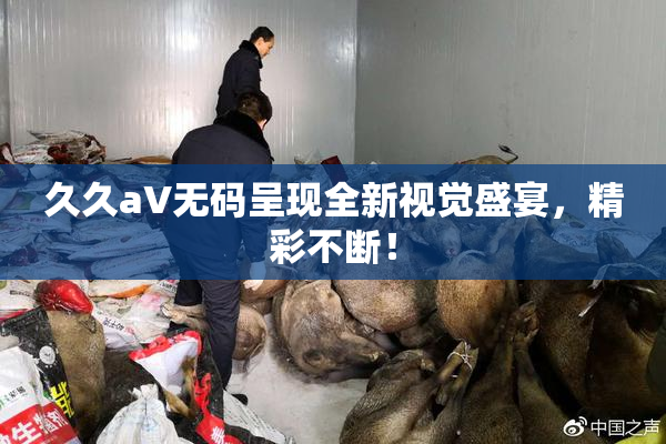 久久aV无码呈现全新视觉盛宴，精彩不断！