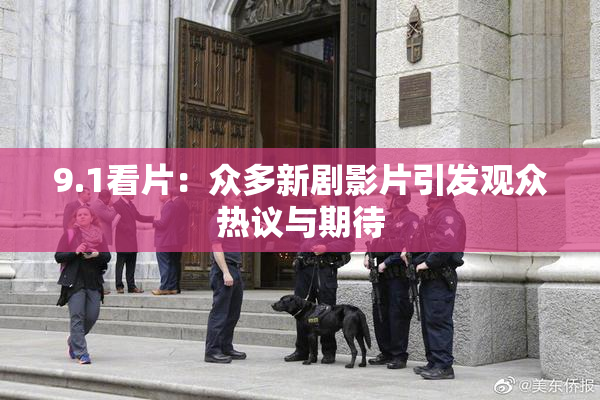 9.1看片：众多新剧影片引发观众热议与期待