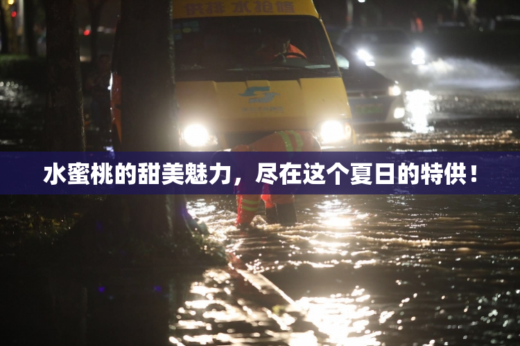 水蜜桃的甜美魅力，尽在这个夏日的特供！