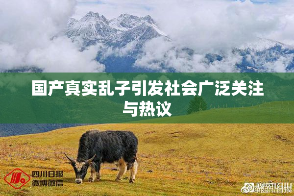 国产真实乱子引发社会广泛关注与热议