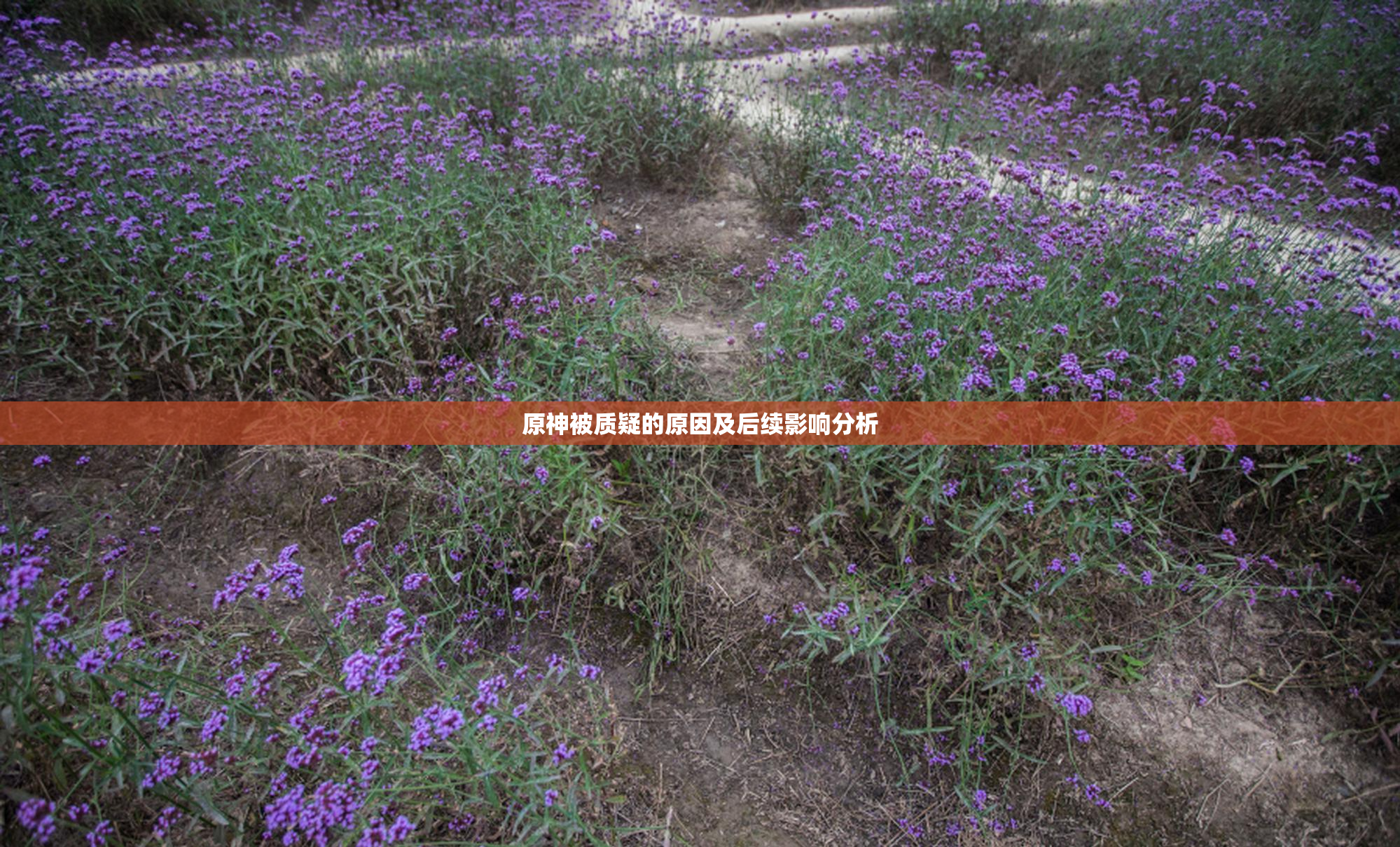 原神被质疑的原因及后续影响分析