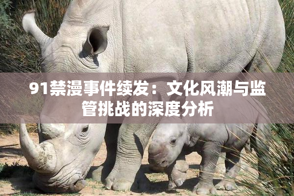 91禁漫事件续发：文化风潮与监管挑战的深度分析