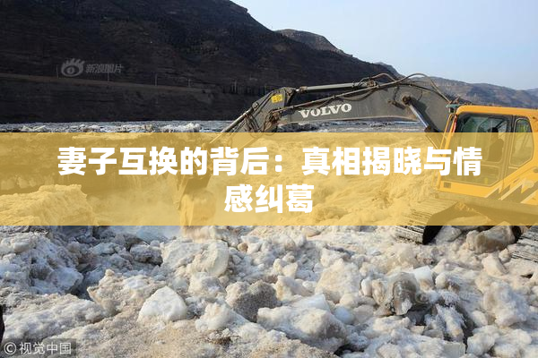 妻子互换的背后：真相揭晓与情感纠葛