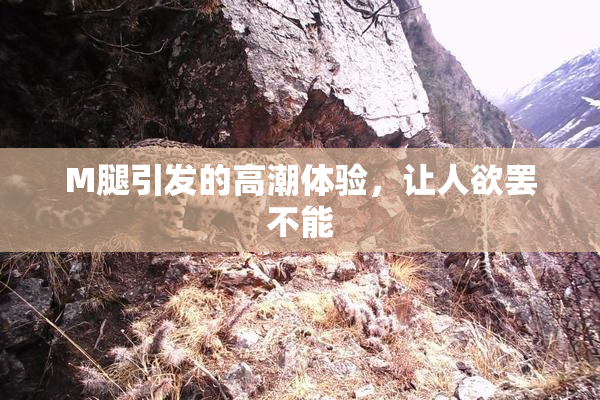 M腿引发的高潮体验，让人欲罢不能