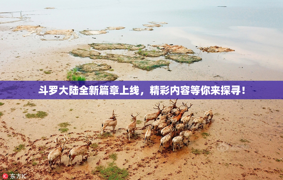斗罗大陆全新篇章上线，精彩内容等你来探寻！