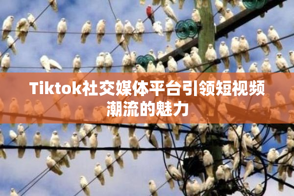 Tiktok社交媒体平台引领短视频潮流的魅力