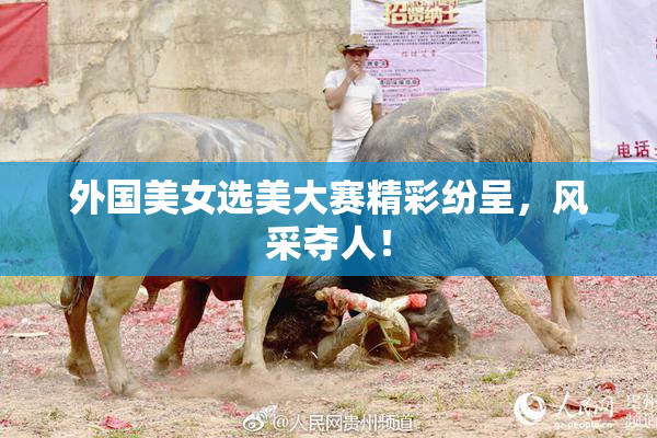 外国美女选美大赛精彩纷呈，风采夺人！