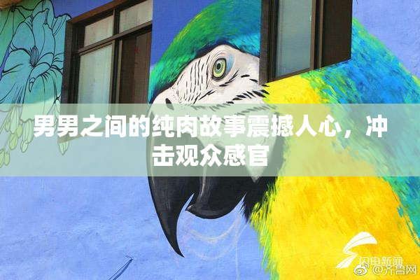 男男之间的纯肉故事震撼人心，冲击观众感官