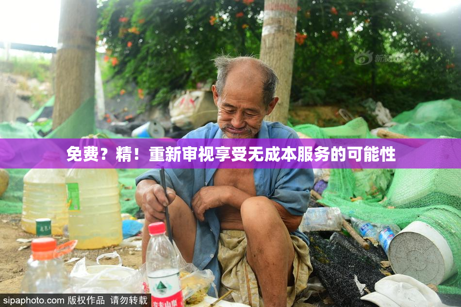 免费？精！重新审视享受无成本服务的可能性