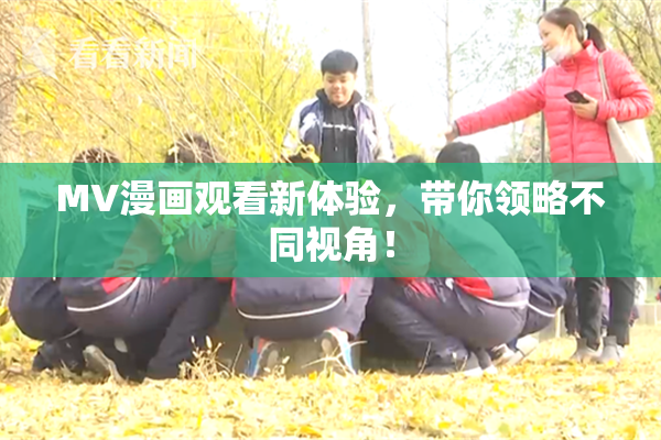 MV漫画观看新体验，带你领略不同视角！