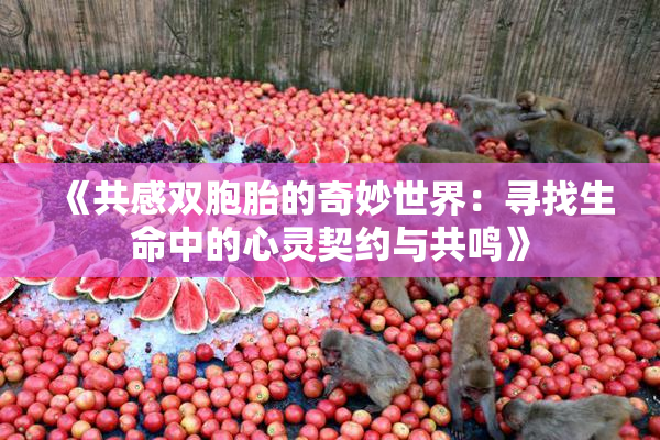 《共感双胞胎的奇妙世界：寻找生命中的心灵契约与共鸣》