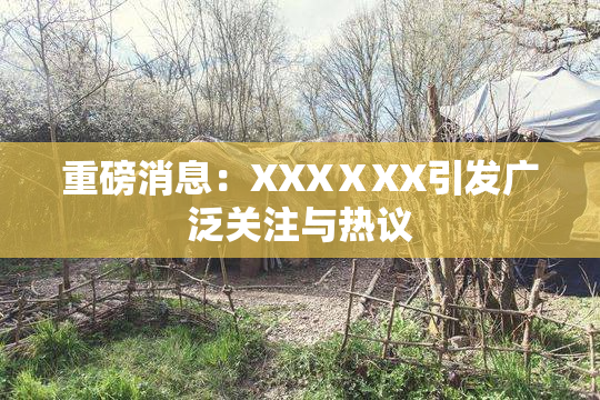 重磅消息：XXXⅩXX引发广泛关注与热议