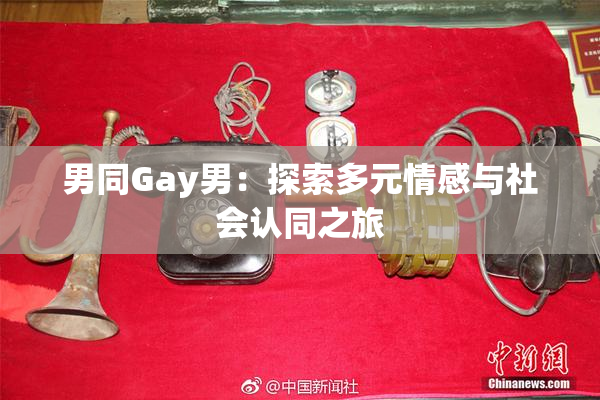 男同Gay男：探索多元情感与社会认同之旅