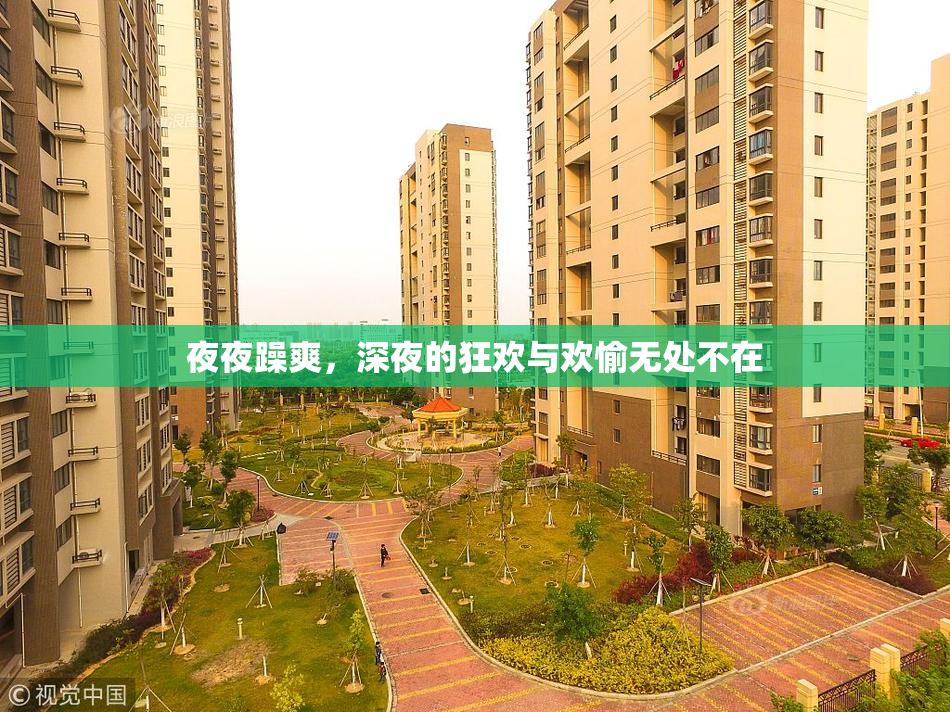 夜夜躁爽，深夜的狂欢与欢愉无处不在