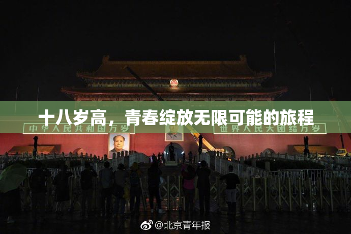十八岁高，青春绽放无限可能的旅程