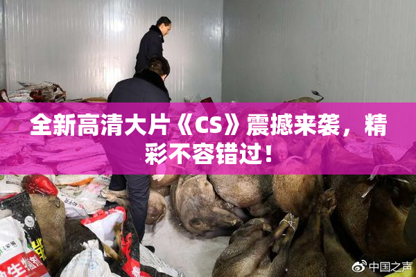 全新高清大片《CS》震撼来袭，精彩不容错过！