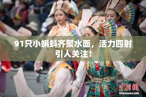 91只小蝌蚪齐聚水面，活力四射引人关注！