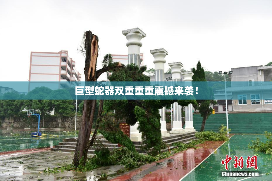 巨型蛇器双重重重震撼来袭！