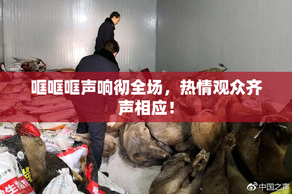 哐哐哐声响彻全场，热情观众齐声相应！