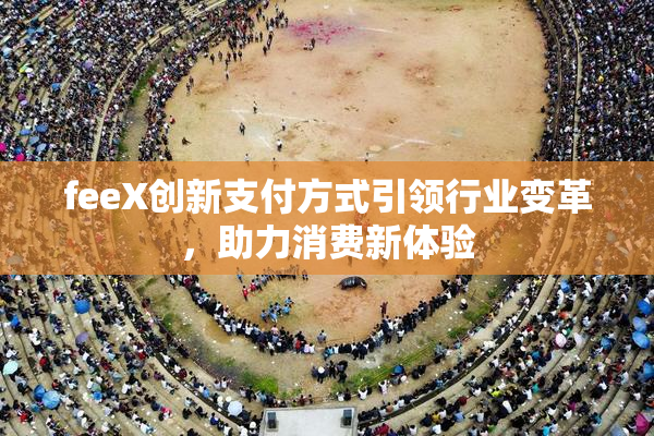 feeX创新支付方式引领行业变革，助力消费新体验