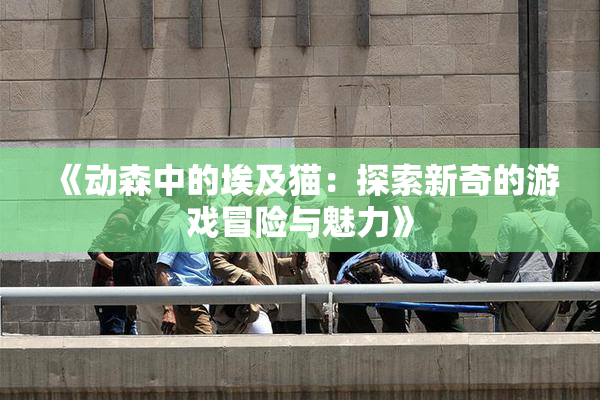 《动森中的埃及猫：探索新奇的游戏冒险与魅力》