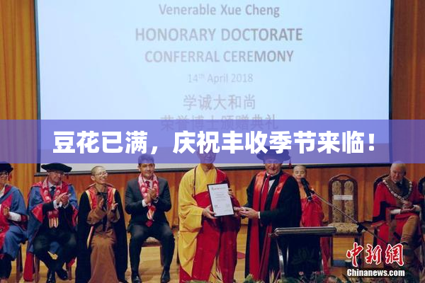 豆花已满，庆祝丰收季节来临！