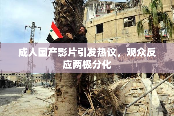 成人国产影片引发热议，观众反应两极分化
