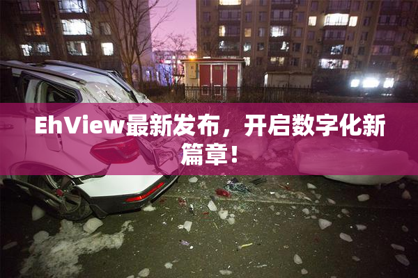 EhView最新发布，开启数字化新篇章！