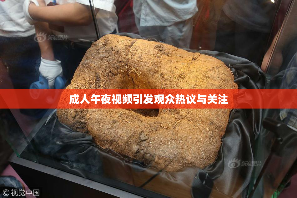 成人午夜视频引发观众热议与关注