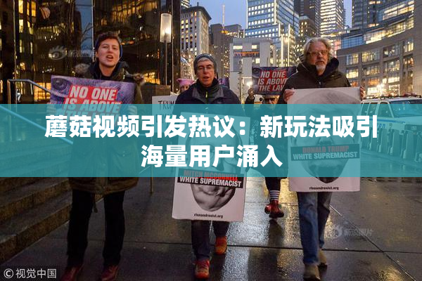 蘑菇视频引发热议：新玩法吸引海量用户涌入