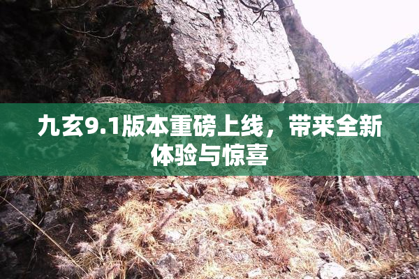 九玄9.1版本重磅上线，带来全新体验与惊喜