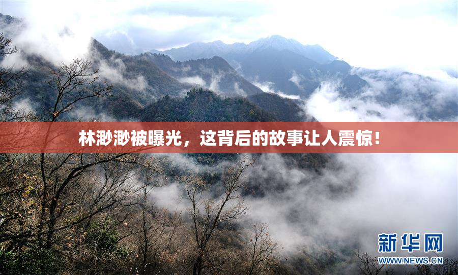 林渺渺被曝光，这背后的故事让人震惊！