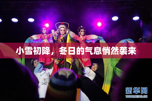 小雪初降，冬日的气息悄然袭来