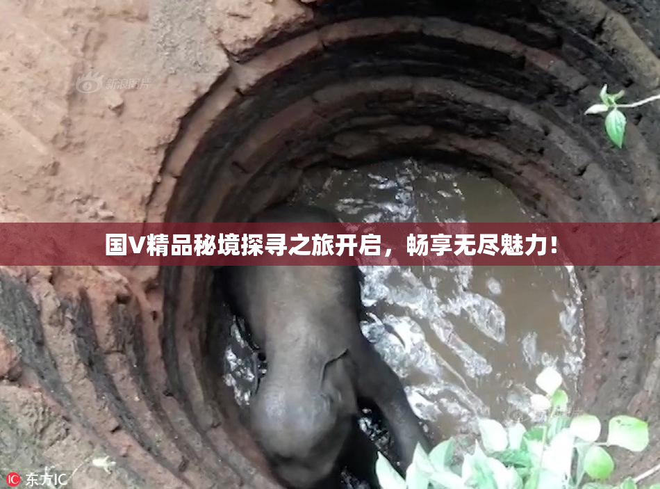 国V精品秘境探寻之旅开启，畅享无尽魅力！