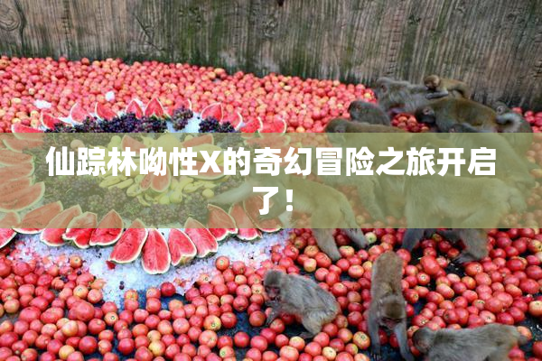 仙踪林呦性X的奇幻冒险之旅开启了！