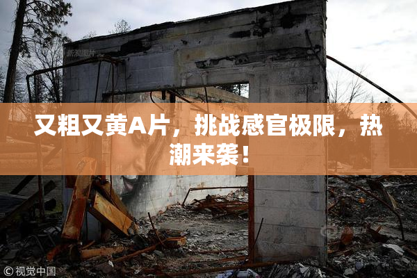 又粗又黄A片，挑战感官极限，热潮来袭！