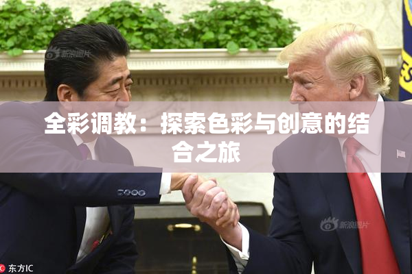 全彩调教：探索色彩与创意的结合之旅