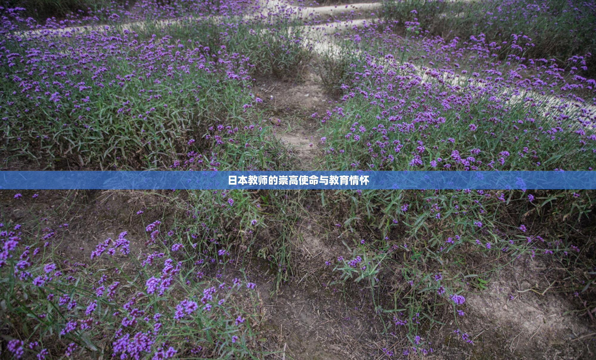 日本教师的崇高使命与教育情怀