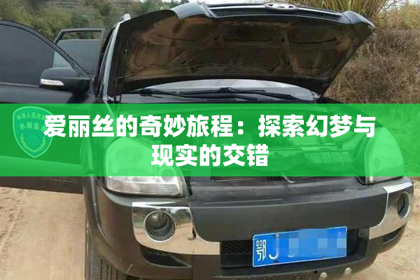 爱丽丝的奇妙旅程：探索幻梦与现实的交错