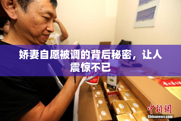 娇妻自愿被调的背后秘密，让人震惊不已