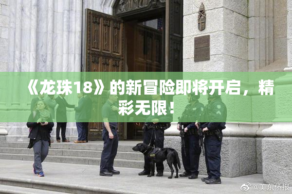《龙珠18》的新冒险即将开启，精彩无限！