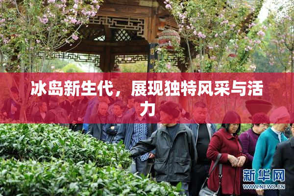 冰岛新生代，展现独特风采与活力
