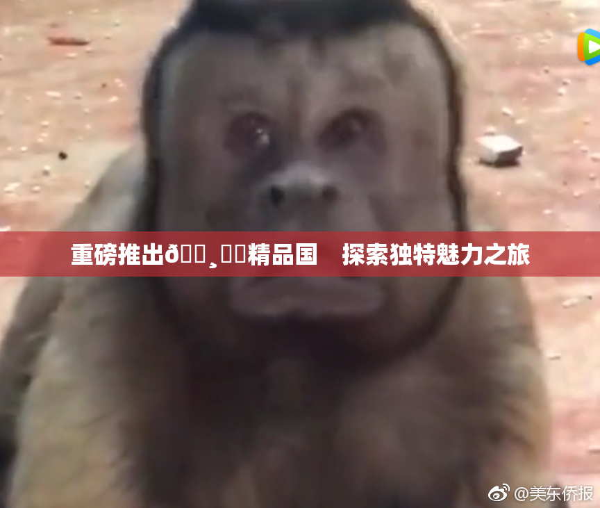 重磅推出🌸‌✿精品国　探索独特魅力之旅